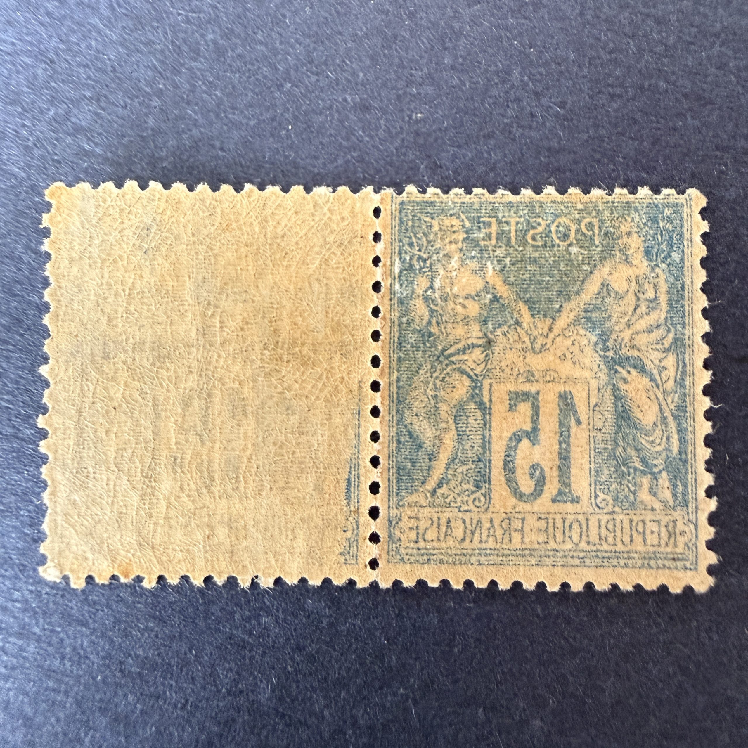 Y&T 101, "Sage 15c bleu" en paire dont recto/verso sur un timbre en neufs ** - TB