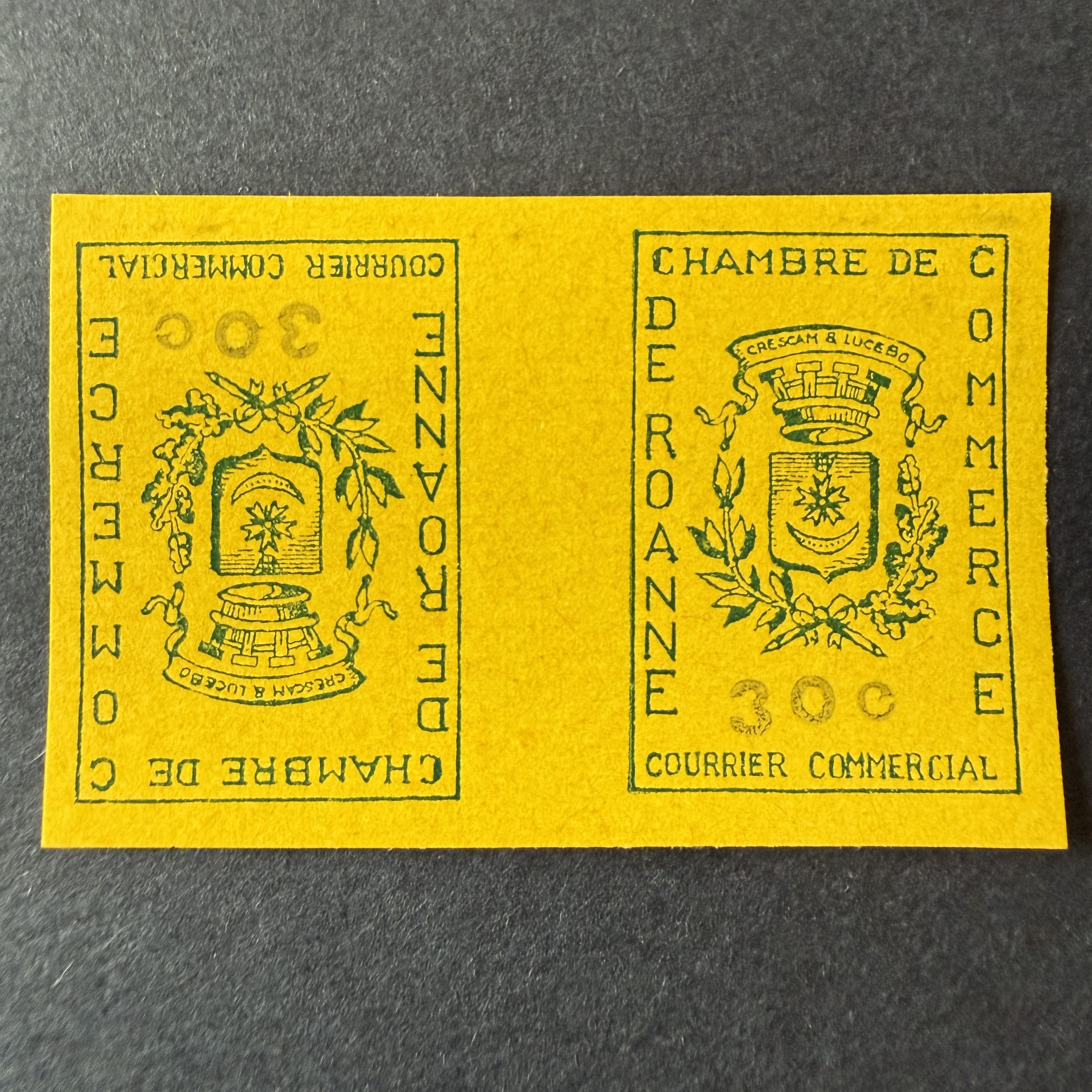 Grève Maury 14 "Roanne 30c" tête bêche en neuf ** sans charnière. TB.